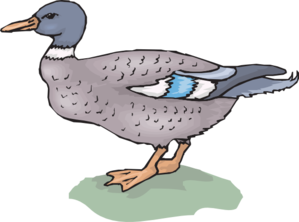 Duck On Grass Clip Art